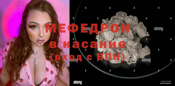 стаф Новозыбков