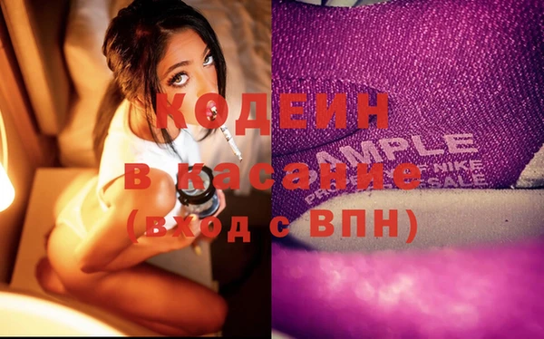стаф Новозыбков