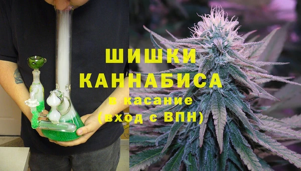 стаф Новозыбков
