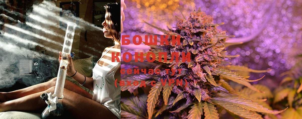 стаф Новозыбков