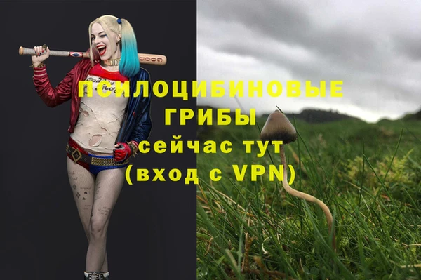 MDMA Нефтегорск
