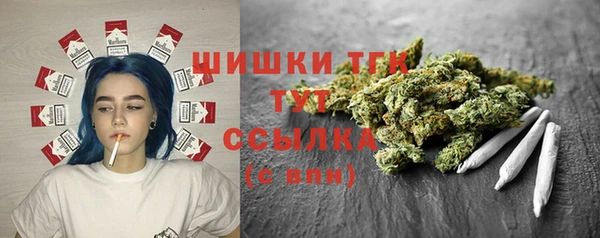 стаф Новозыбков