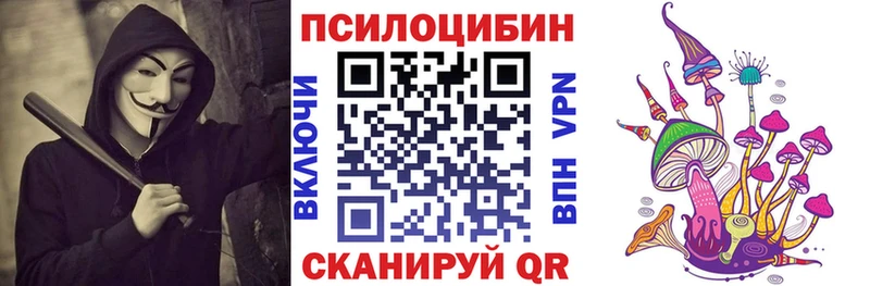 ОМГ ОМГ вход  Нефтегорск  Псилоцибиновые грибы Psilocybe 